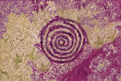 C3-21A