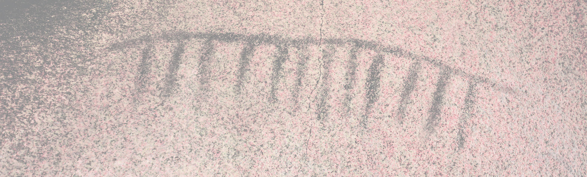 The first Kumeyaay Rock Art Book!